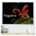 Pilzgalerie (hochwertiger Premium Wandkalender 2025 DIN A2 quer), Kunstdruck in Hochglanz