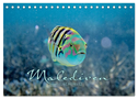 Unterwasserwelt der Malediven II (Tischkalender 2025 DIN A5 quer), CALVENDO Monatskalender
