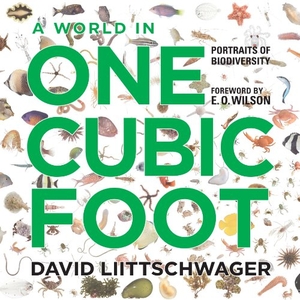 Liittschwager, David. A World in One Cubic Foot - Portraits of Biodiversity. University of Chicago Press, 2012.