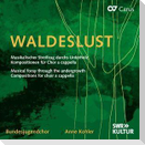 Waldeslust: Musikalischer Streifzug