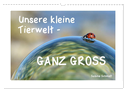 Unsere kleine Tierwelt - GANZ GROSS (Wandkalender 2024 DIN A3 quer), CALVENDO Monatskalender