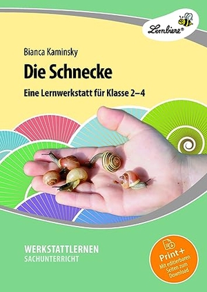 Kaminsky, Bianca. Die Schnecke - (2. bis 4. Klasse). Lernbiene Verlag i.d. AAP, 2023.