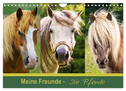Meine Freunde - die Pferde (Wandkalender 2025 DIN A4 quer), CALVENDO Monatskalender