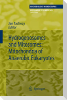 Hydrogenosomes and Mitosomes: Mitochondria of Anaerobic Eukaryotes