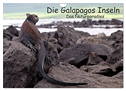 Die Galapagos Inseln - Das Naturparadies (Wandkalender 2024 DIN A4 quer), CALVENDO Monatskalender