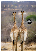 Giraffen - Die Riesen Afrikas (Wandkalender 2024 DIN A3 hoch), CALVENDO Monatskalender