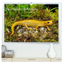 Salamander und Molche (hochwertiger Premium Wandkalender 2025 DIN A2 quer), Kunstdruck in Hochglanz