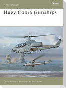 Huey Cobra Gunships