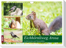 Eichhörnliweg Arosa - Eichhörnchen und Tannenhäher (Wandkalender 2024 DIN A4 quer), CALVENDO Monatskalender