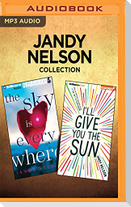 Jandy Nelson Collection - The Sky Is Everywhere & I'll Give You the Sun