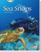 Bug Club Independent Non Fiction Year 1 Green A Sea Snaps