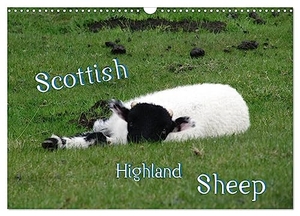 ~Bwd~, ~Bwd~. Scottish Highland Sheep (UK Version) (Wall Calendar 2024 DIN A3 landscape), CALVENDO 12 Month Wall Calendar - with sheeps through the year. Calvendo, 2023.