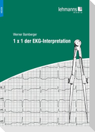 1 x 1 der EKG-Interpretation