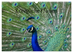 Kattobello, Kattobello. Königliche Pfauen (Wandkalender 2024 DIN A3 quer), CALVENDO Monatskalender - Der Blaue Pfau (Pavo cristatus). Calvendo Verlag, 2023.