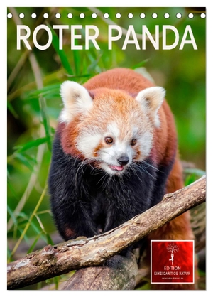 Roder, Peter. Roter Panda (Tischkalender 2026 DIN A5 hoch), CALVENDO Monatskalender - Eindrucksvolle Bilder eines wunderschönen Tieres.. Calvendo, 2025.