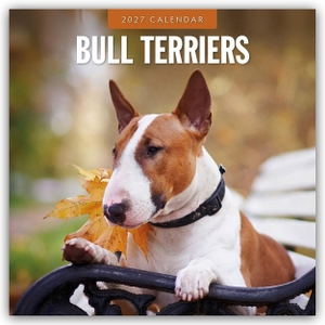 Red, Robin. Bull Terriers - Bullterrier 2027 - 16-Monatskalender - Original Red Robin Publishing Ltd-Kalender [Mehrsprachig] [Kalender]. Browntrout Verlags GmbH, 2026.