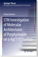 STM Investigation of Molecular Architectures of Porphyrinoids on a Ag(111) Surface