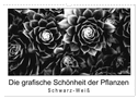 Die grafische Schönheit der Pflanzen ¿ Schwarz-Weiß (Wandkalender 2025 DIN A3 quer), CALVENDO Monatskalender