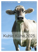 Kuhle Kühe 2025 (Wandkalender 2025 DIN A4 hoch), CALVENDO Monatskalender