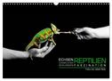 Faszination Reptilien (Wandkalender 2024 DIN A3 quer), CALVENDO Monatskalender
