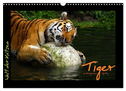 Welt der Katzen - Tiger (Wandkalender 2024 DIN A3 quer), CALVENDO Monatskalender