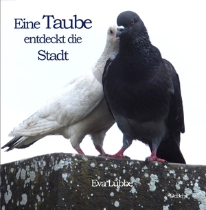 Lübbe, Eva. Eine Taube entdeckt die Stadt. DeBehr, 2025.