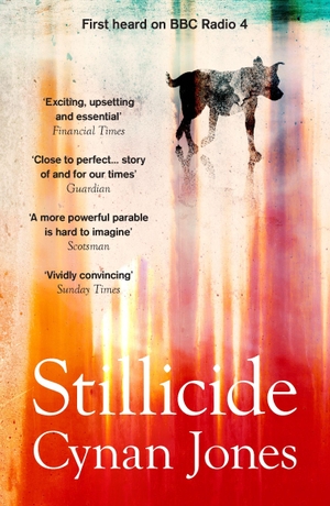 Jones, Cynan. Stillicide. Granta Publications, 2020.