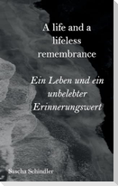 A life and a lifeless remembrance
