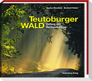 Teutoburger Wald