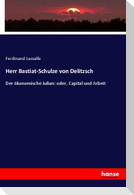 Herr Bastiat-Schulze von Delitzsch