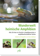 Wunderwelt heimische Amphibien
