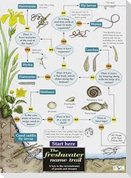 The Freshwater name trail