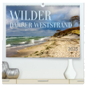 Wilder Darßer Weststrand (hochwertiger Premium Wandkalender 2025 DIN A2 quer), Kunstdruck in Hochglanz