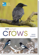 RSPB Spotlight Crows