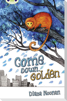 Bug Club Independent Fiction Year 3 Brown A Come Down, Golden