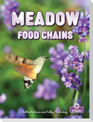 Meadow Food Chains