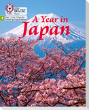 A Year in Japan