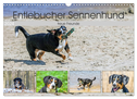 Entlebucher Sennenhund - treue Freunde (Wandkalender 2024 DIN A3 quer), CALVENDO Monatskalender