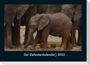 Der Elefantenkalender 2023 Fotokalender DIN A4