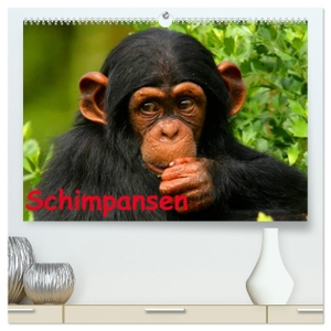 Stanzer, Elisabeth. Schimpansen (hochwertiger Premium Wandkalender 2024 DIN A2 quer), Kunstdruck in Hochglanz - Des Menschen nächster Verwandter aus Mittelafrika. Calvendo Verlag, 2023.