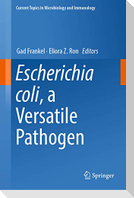 Escherichia coli, a Versatile Pathogen
