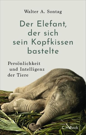 Sontag, Walter A.. Der Elefant, der sich sein Kopfkissen bastelte - Persönlichkeit und Intelligenz der Tiere. C.H. Beck, 2026.