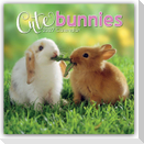 Cute Bunnies - Niedliche Kaninchen 2027 - 16-Monatskalender