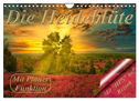 Die Heideblüte (Wandkalender 2024 DIN A4 quer), CALVENDO Monatskalender