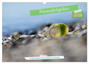 Strandobjekte (Wandkalender 2025 DIN A3 quer), CALVENDO Monatskalender