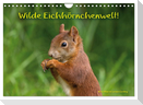 Wilde Eichhörnchenwelt! (Wandkalender 2024 DIN A4 quer), CALVENDO Monatskalender