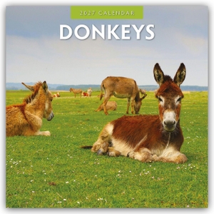 Red, Robin. Donkeys - Esel 2027 - 16-Monatskalender - Original Red Robin Publishing Ltd-Kalender [Mehrsprachig] [Kalender]. Browntrout Verlags GmbH, 2026.