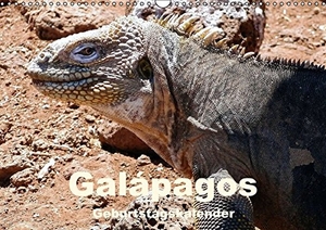 Rudolf Blank. Galápagos Geburtstagskalender (Wandkalender immerwährend DIN A3 quer) - Tiere auf Galápagos (Monatskalender, 14 Seiten). Calvendo, 2014.