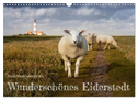 Wunderschönes Eiderstedt (Wandkalender 2024 DIN A3 quer), CALVENDO Monatskalender