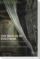 The Worlds of Positivism